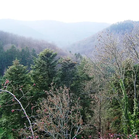 Сasa de vacaciones Du